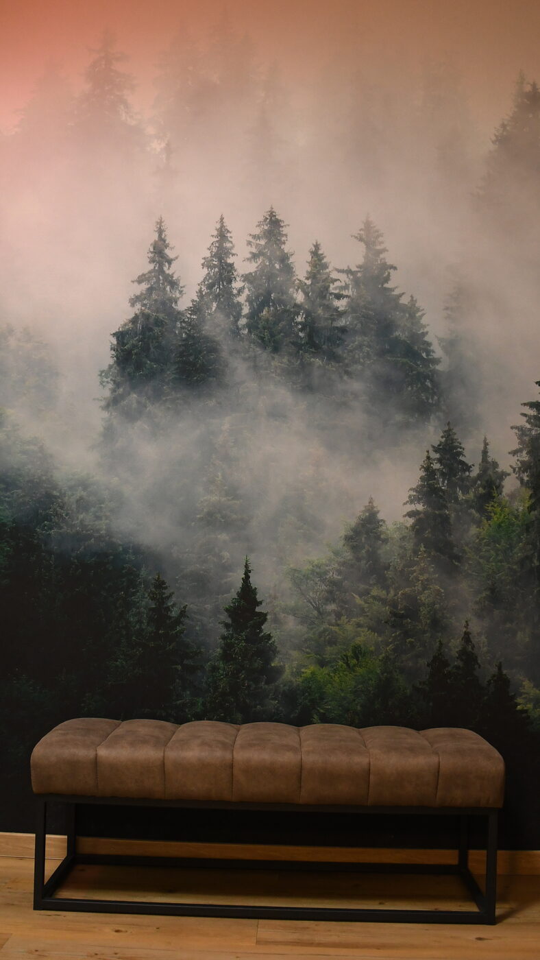 Wandbild mit nebligem Wald über einer Bank