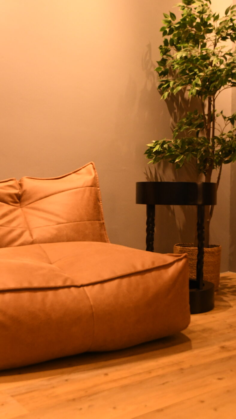 Loungebereich mit Ledersitz und Pflanze